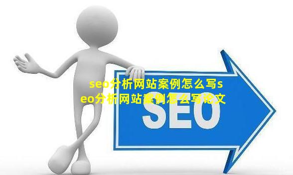 seo分析网站案例怎么写(seo分析网站案例怎么写论文)